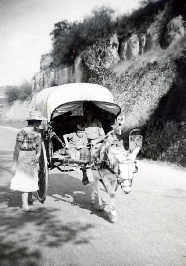 Carro carregat de raïm pel camí