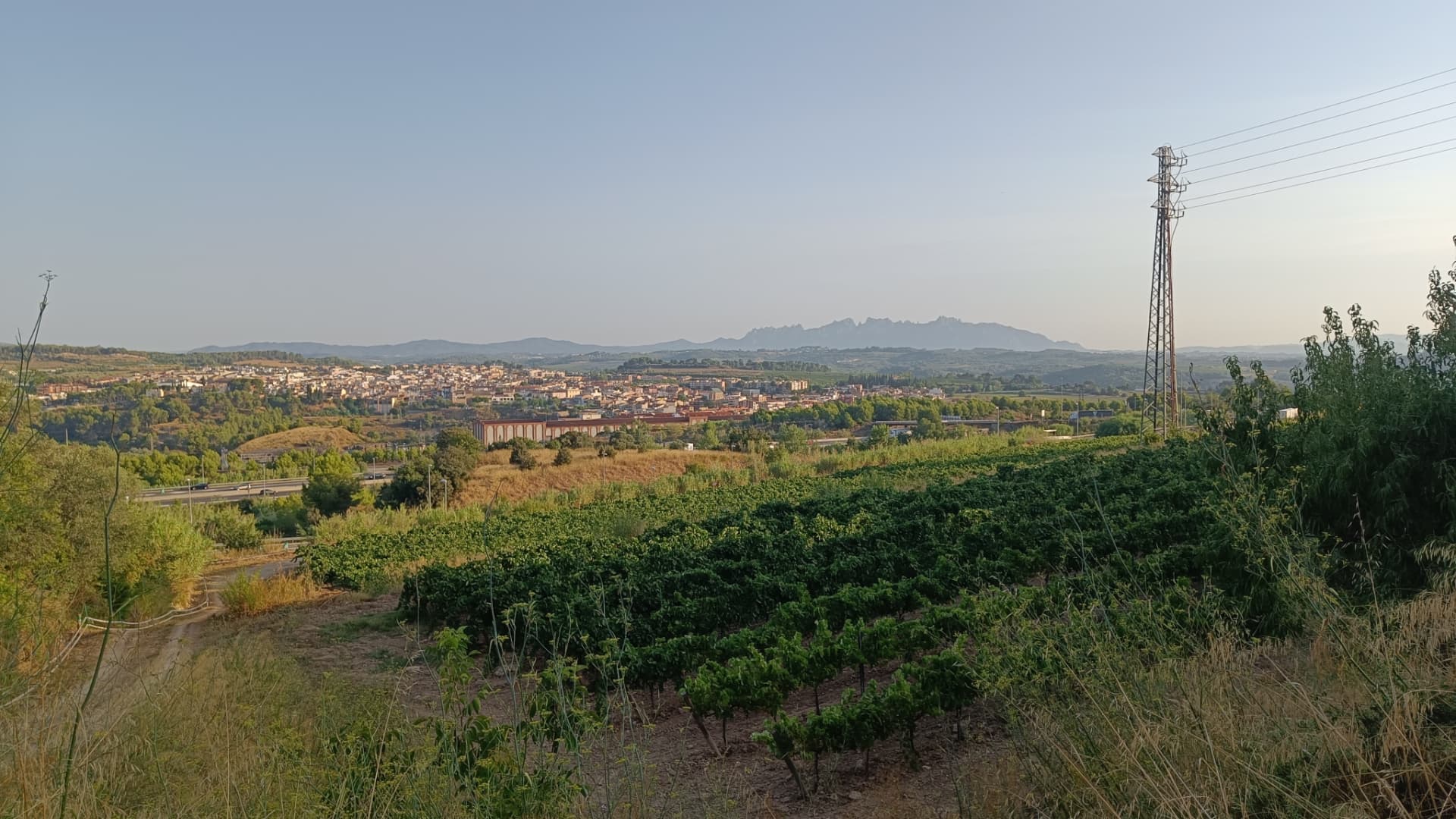 El procés d'elaboració del cava Almirall